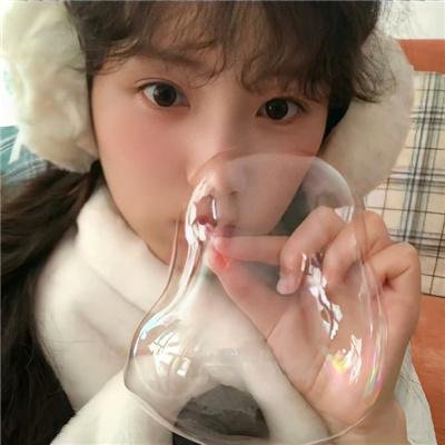 螳螂捕蝉